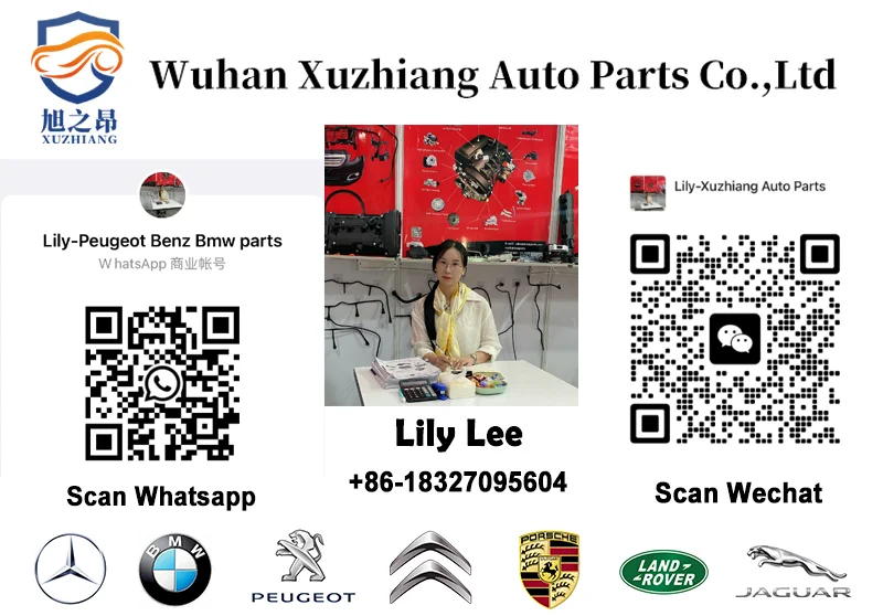 1336Z6 Water Flange Engine Coolant Thermostat for Peugeot