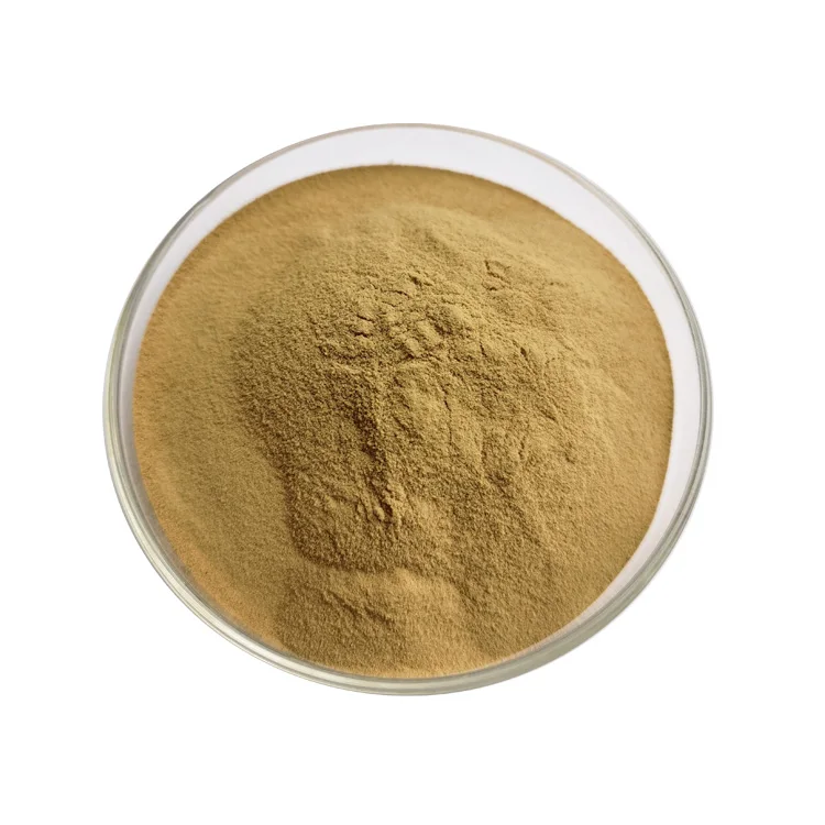 Pure Natural 10:1 Radix Isatidis Isatis Indigotica Fort Extract Indigowoad Root Extract