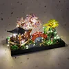 651-giardino zen con luci a corda