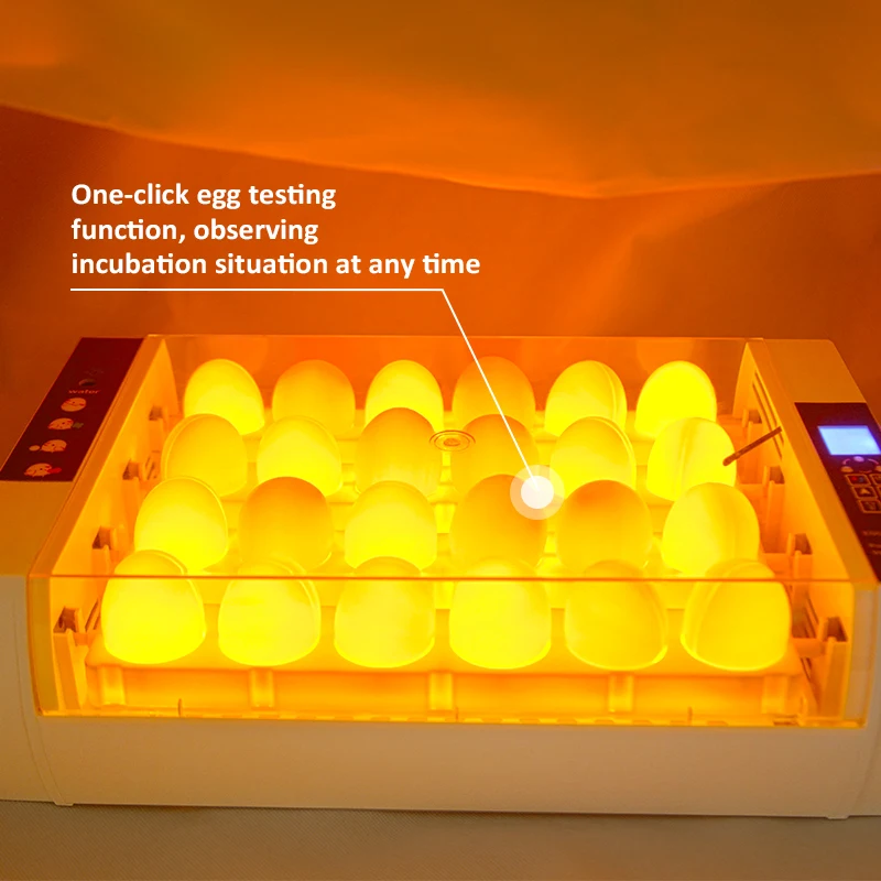  Spot the Brooder Chicken and Hatching Machine 300 Eggs Intelligent Incubator Controller