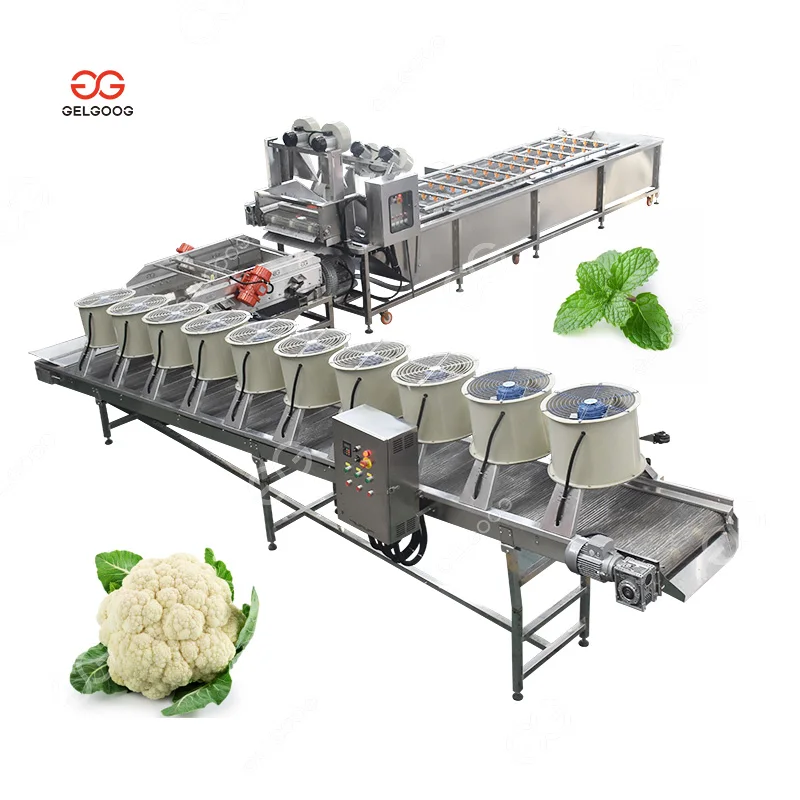 High Quality Washing Dryer Vegetable and Fruit Cleaning Drying Sorting Waxing Processing Machine