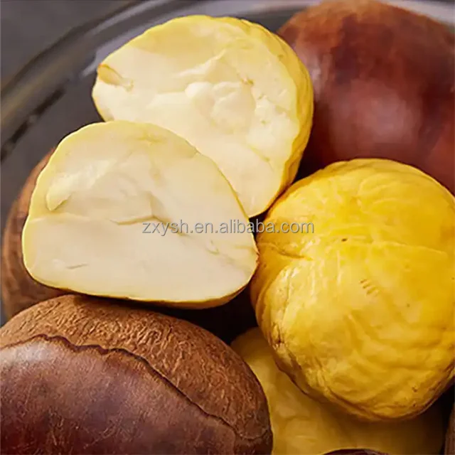 Delicious Chestnuts Fresh Chestnuts Bulk Chestnuts For Sale Buy