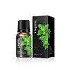 Menta