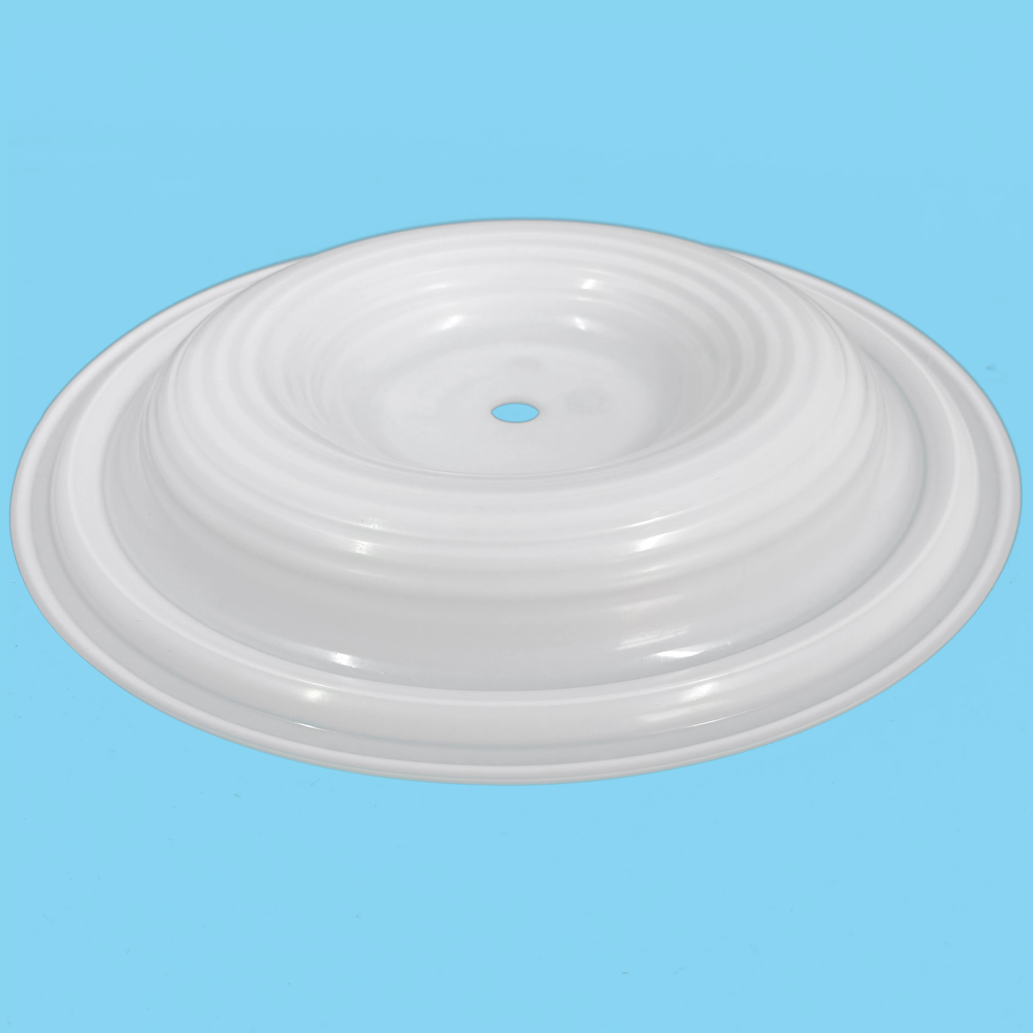 CF02-1010-55 Diaphragm