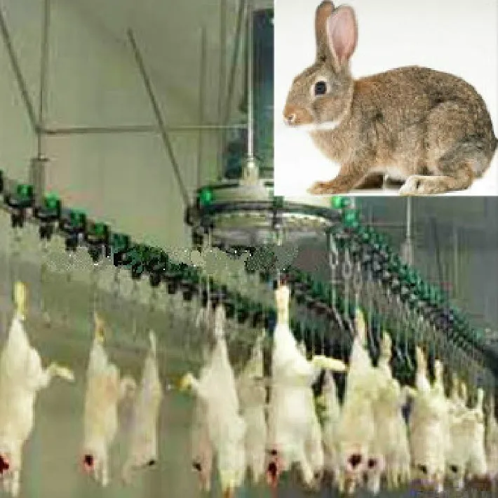 High quality complete hare slaughtering line