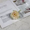 Champagne color