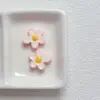 12-Light Powder