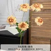 5-headed rose with double petals