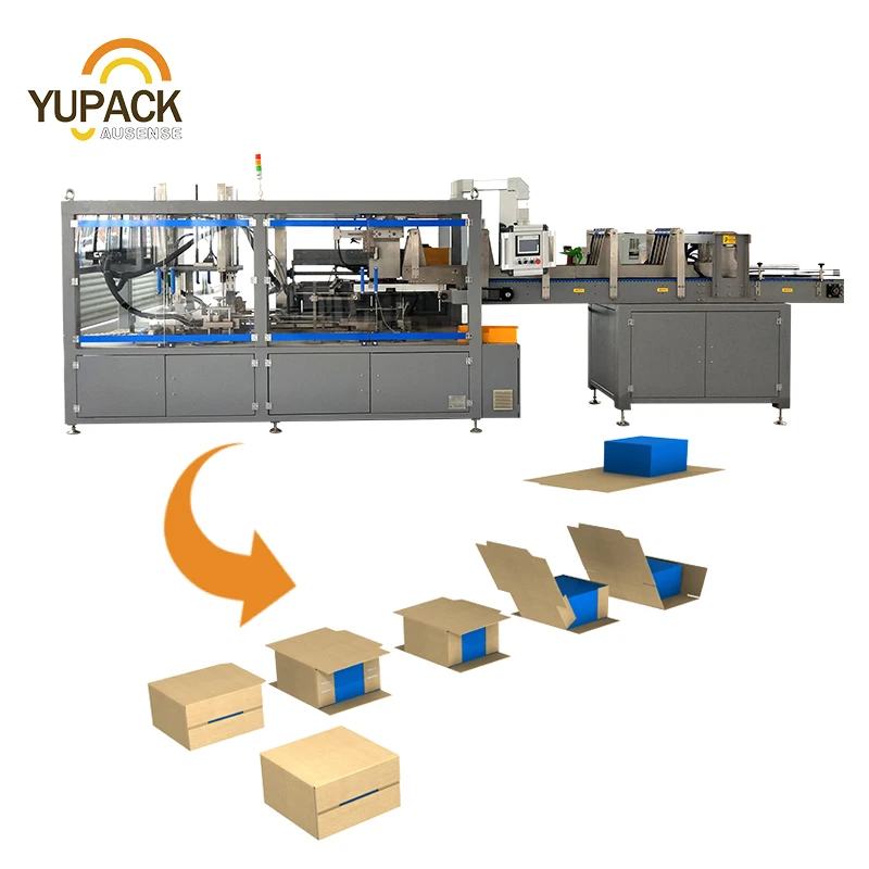 Automatic Case Packer Carton Box Packing Machine