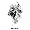 TBS 8105   TBS 8105   TBS 8105