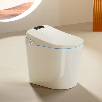 Automatic Flush Integrated One Piece Remote Control instant heating smart toilet with bidet and warm dryer
