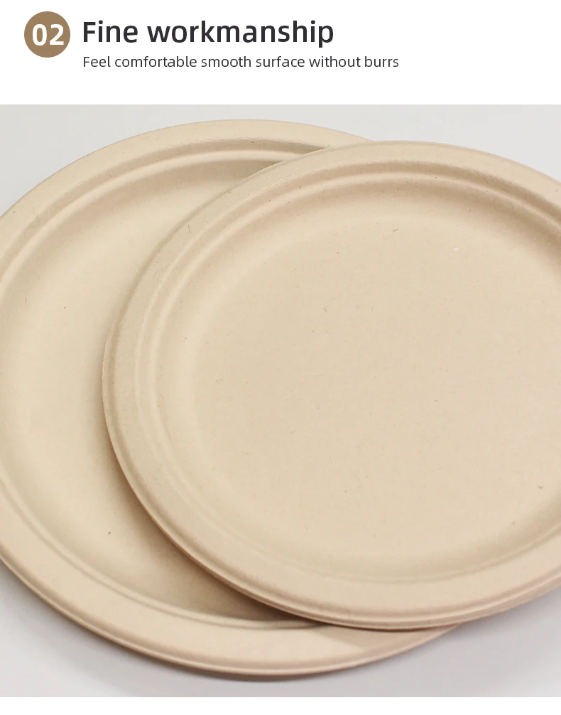 Bagasse Paper 10 Inches Microwavable Biodegradable Round Compostable ...