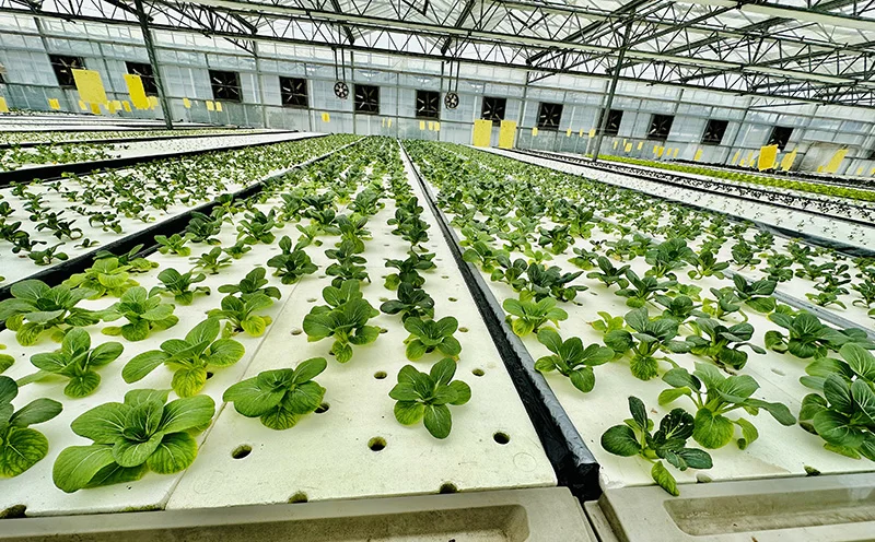 H5bf6361267e54ebbb19d4cf6841f5a6b4