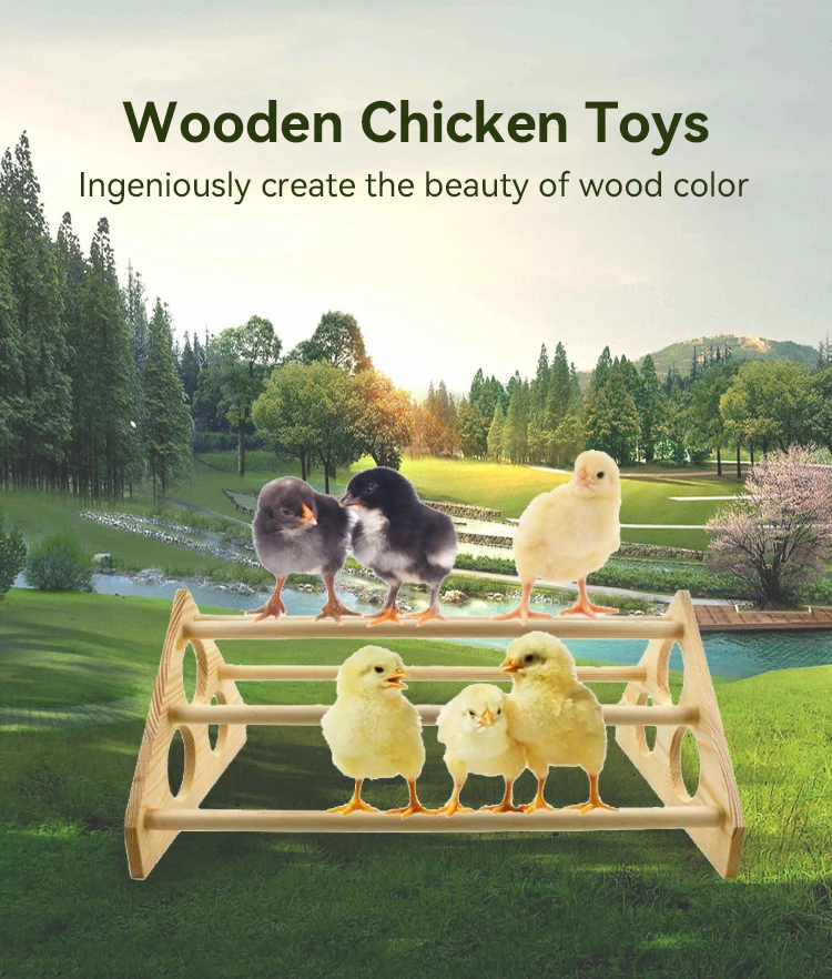 Large Chick Perch Chicken Roosting Perch For Coop And Brooder Buy
