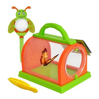 Iplusmile Boîte à Spécimens D'Insectes Vintage - Vitrine D'Exposition Rustique En Bois Avec Serrure Métal Et Couvercle Transparent 31x22x4cm
