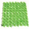 Light green sweet potato leaves are available for customization.