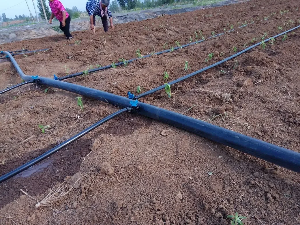 Pressure Compensation Drip Irrigation Tape Biodegradable Drip Tape for Sale
