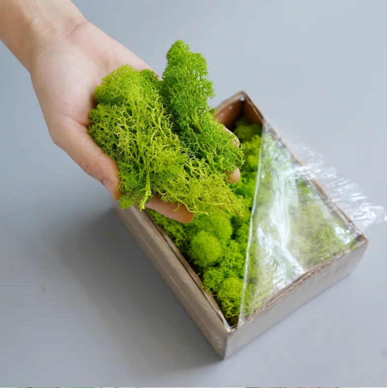 Wholesale Fresh Preserved Moss Reindeer Artificial Green Moss For Wall