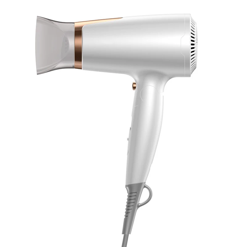 ヘアドライヤー BOOSTER ION DRYER Professional Ionic Hair Dryer with DC Motor, 2 Speed & 3 Heat