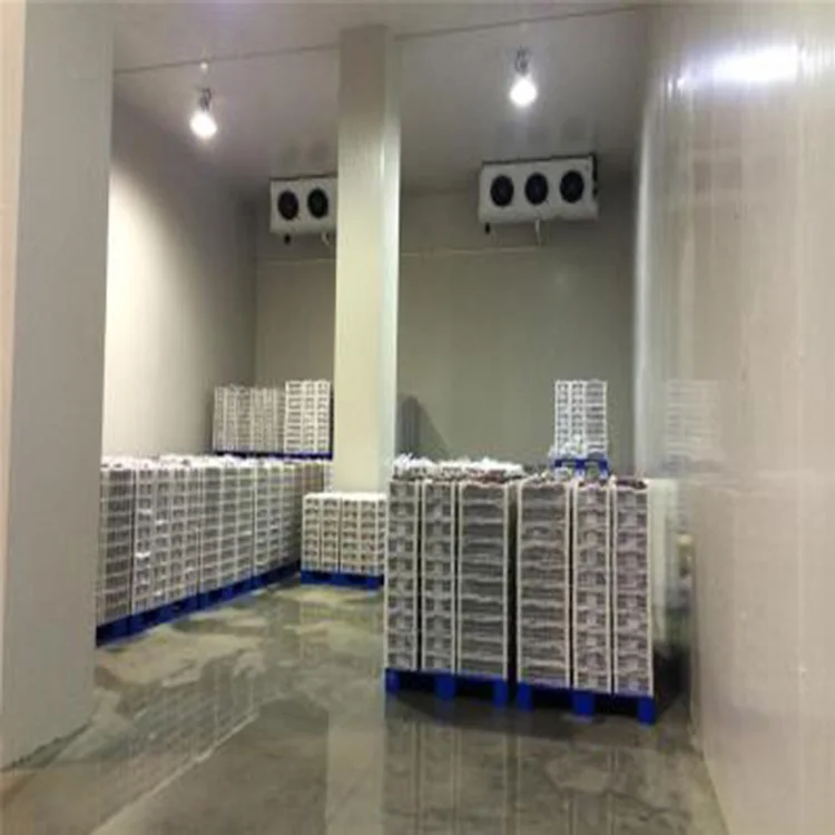 Led Light Cold Storage Room Blast Freezer Evaporative Air Cooled Compressor Condensing Units Cold Storage for Food