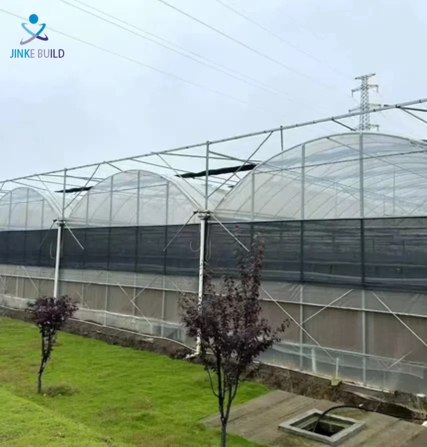 Long Time UV Resistant Multi Span Flowers Agricultural Greenhouses