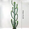310cm/10.2ft
