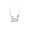 Trompeta de cisne blanco