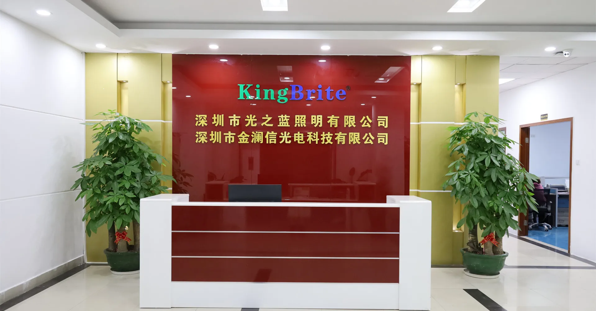Shenzhen Kingbrite Lighting Co., Ltd.