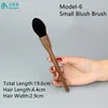 Modelo-6