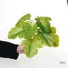25cm Large 9-Leaf Cantaloupe Leaf