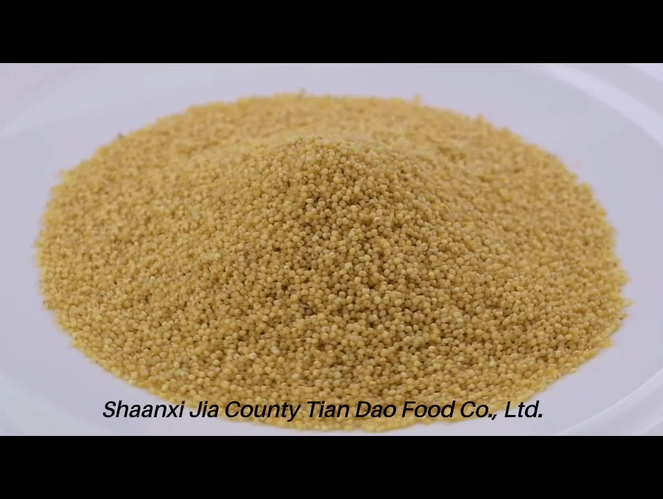 Great Price Wholesale New Crop Bulk Hulled Yellow Millet On Sale Buy Millet For Sale,Pearl