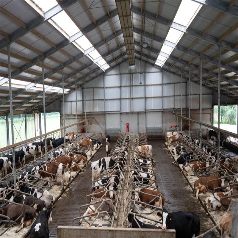 Modern Design Steel Structure Cow Cattle Dairy Milking Farm Goat Farming House  Shed Building