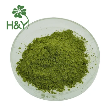 High quality commercial matcha powder Macha Green Tea powder