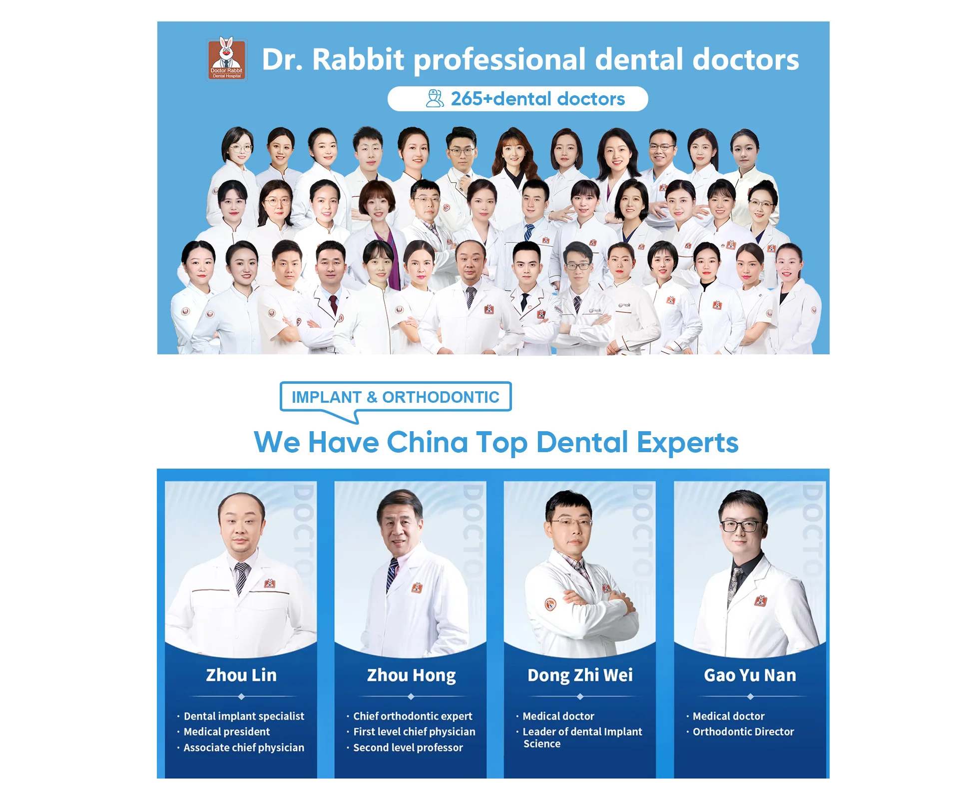 Company Overview - Doctor Rabbit Dental Co., Ltd.