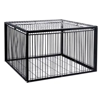 Foldable Galvanised Pigeon Bird Trap Cage Feral Pigeon humane way with the one-way entrance Trapping Pigeons doves In Cages