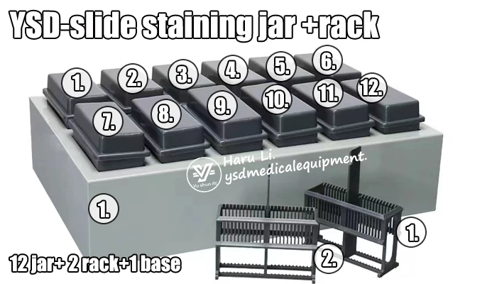 Medical Staining Rack