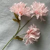 3 rosa claro