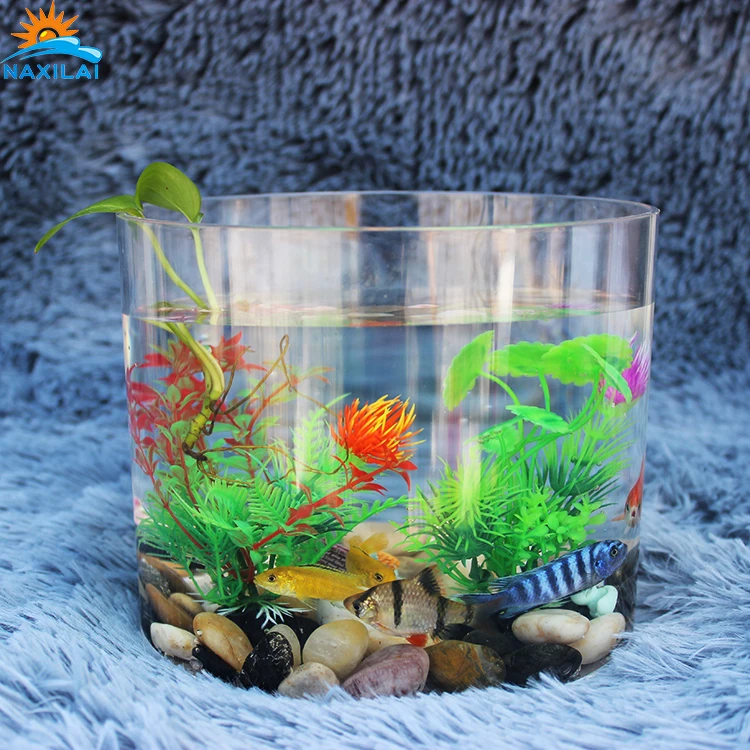 fish bowl online shopping