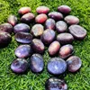 Viola mica