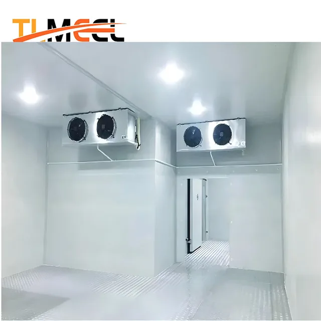 High Productivity 200 ton cold room design frozen room cold storage panels cold room for frozen chicken