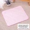 Ice silk mat-pink