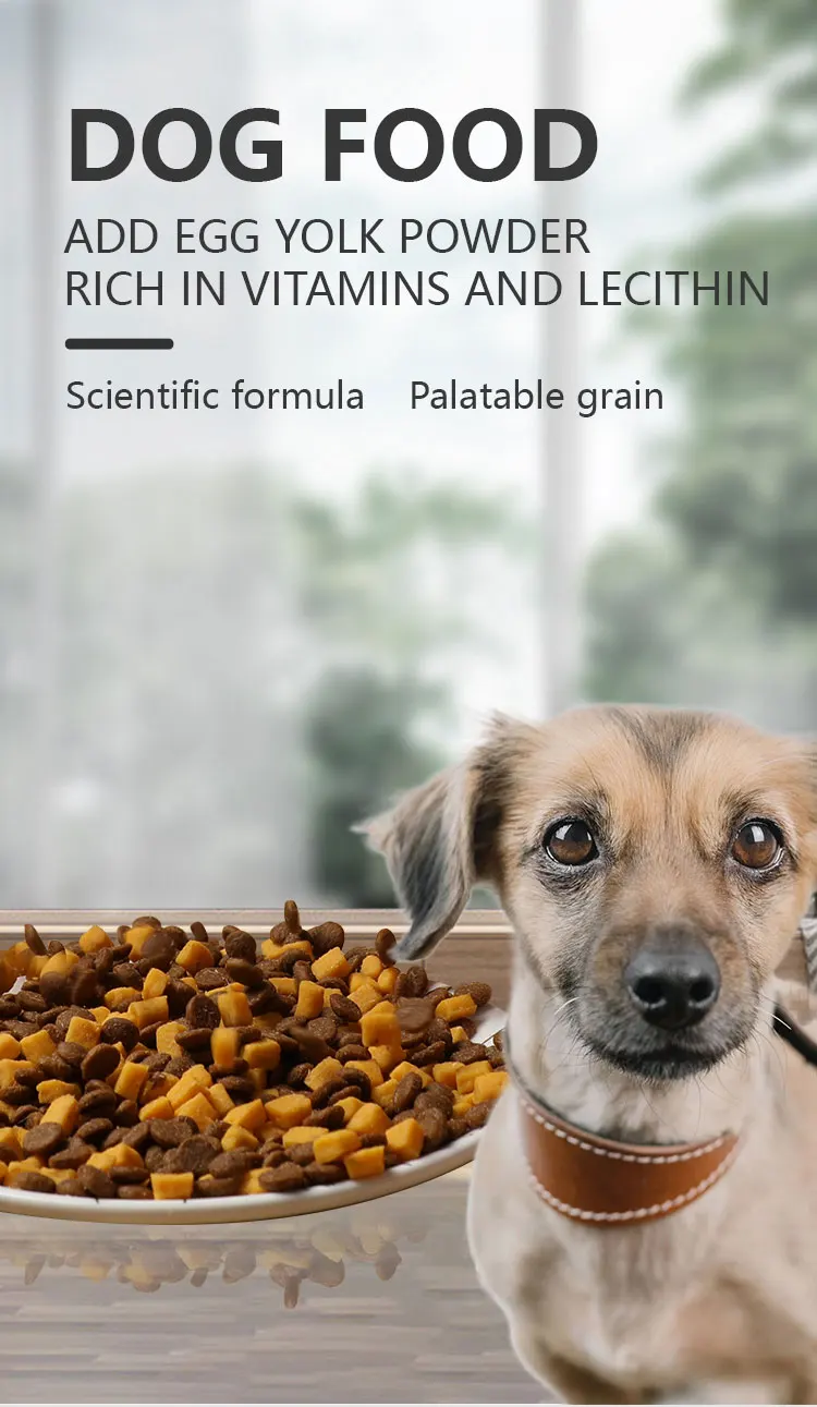 China Pet Food Oem Multitaste Multishape High Protein Content Adult And Small Dog Food Dry Pet