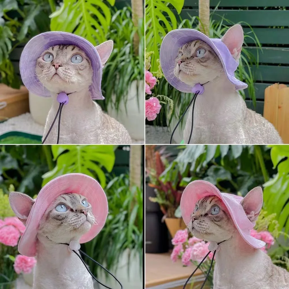 product-1-1 product-1-1