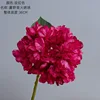 Rose red