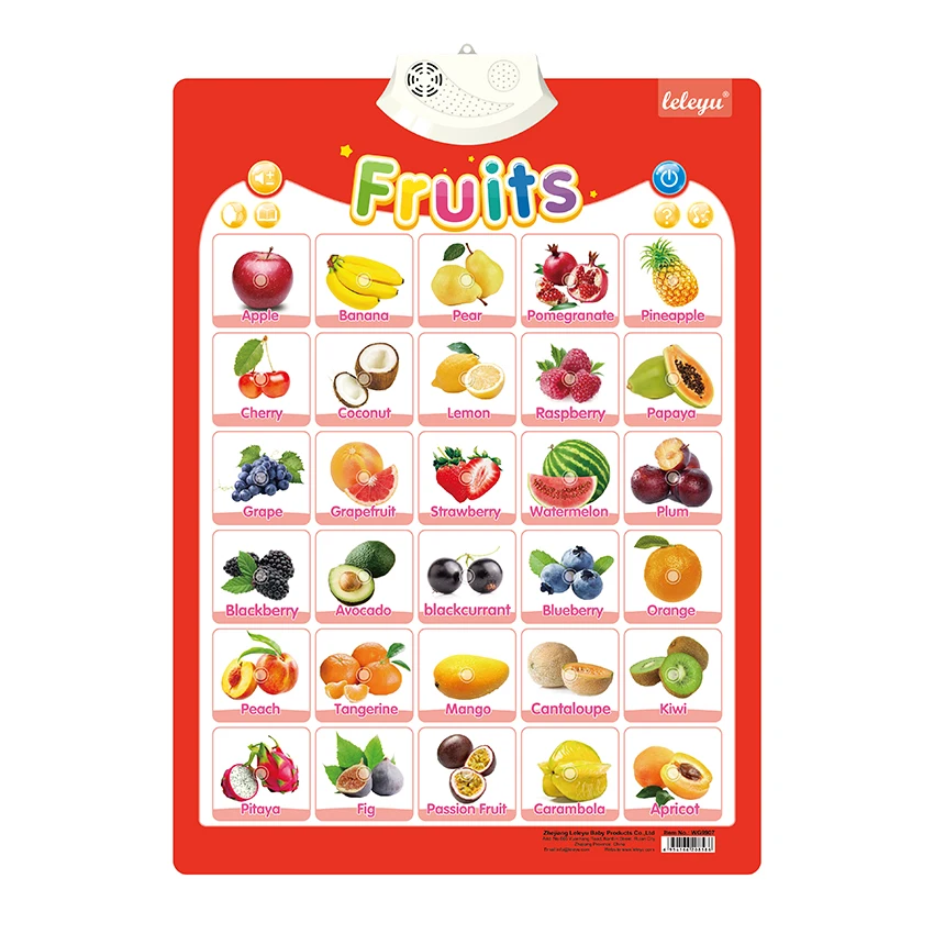 LELEYU OEM style feature talking poster music toys other educational toys to learn English