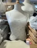 Deer-top