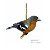 Common chaffinch EW13401