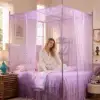 Pourpre