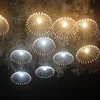 10-head fan-shaped dandelion hanging garland