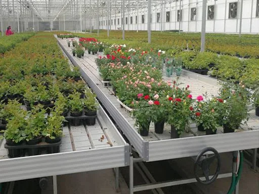 3x3 ebb and flow tray